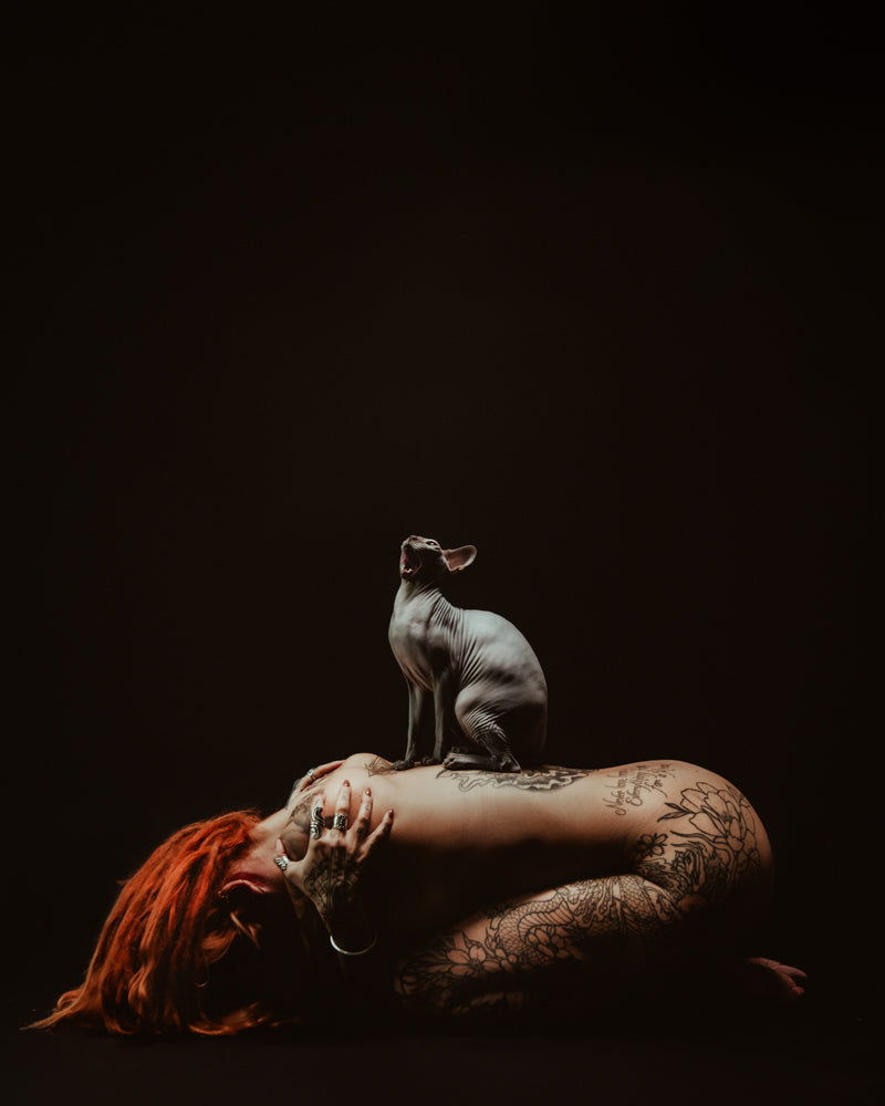 Feline